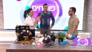 אורן לצרכן: איך מציינים את יום הגבר הבינלאומי ברחבי העולם?