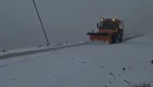 שטפונות והצפות ברחבי הארץ, ילד ננשך על ידי תנין | חדשות השבת