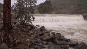 הטבע מתעורר: גשמי הסופ"ש הביאו לחידוש זרימת המים בנחלי הצפון
