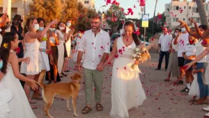 לאחר שנדחתה 4 פעמים - מעיין וגדי הביאו את החתונה לאורחים