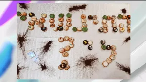 הצעת נישואין מדליקה: 90 סופגניות שייצרו את הכיתוב "התנשאי לי"