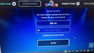 "הילדים פשוט בוכים": בעקבות עומס גולשים - אתר הפסטיגל קרס