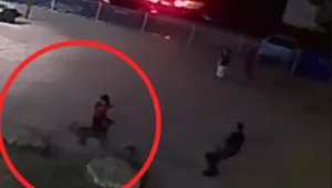 תיעוד: כלב תקיפה משטרתי הסתער על בן 10 - ופצע אותו בינוני