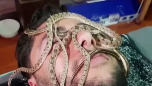 הטרנד שמטריף את מצרים - עיסויים וטיפולי ספא באמצעות נחשים