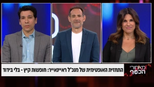 התחזית האופטימית של מנכ"ל ראיינאייר: חופשות קיץ - בלי בידוד