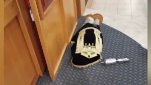 "מחזה מזעזע": מי חילל הלילה בתי כנסת בפתח תקווה?