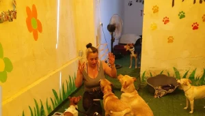 פינוק ואהבה לכלב