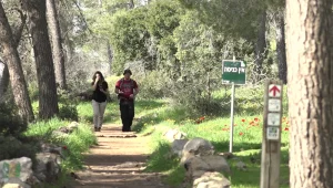 כישלון הסגר: מטיילים צפצפו על המחסומים, מרכזי הקניות מורדים
