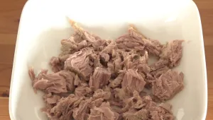 מבחן הטונה: השפים הכריעו מה הכי כדאי לשים בכריכי הילדים