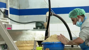 ביקור במפעל הפלסטיני בשכם שמייצר טחינה כשרה לישראלים