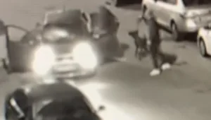 קטטה ושיסוי כלב תקיפה: תיעוד הדקות שלפני הירי בשוגג בבן ה-16