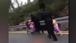 האוטובוסים בוטלו? החסידים עולים ברגל לירושלים לחגיגות הטיש