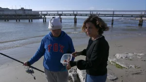 האם הזפת שבים פוגעת באיכות הדגים שאנו אוכלים?