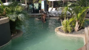 הכי קרוב לתאילנד: מלון Spa Village בחמת גדר פותח מחדש את שעריו