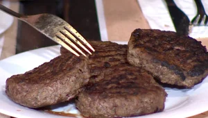 מבחן ההמבורגרים הקפואים: איזה מותג הגיע למקום הראשון?