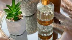 שימו נר על החלון והכירו את Reina – האווירה החדשה שלכם בבית