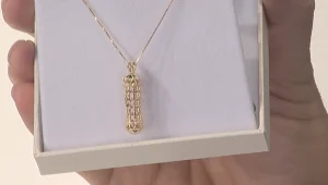 התכשיטים שכבשו השבוע את דיירי "האח הגדול"