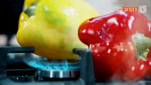 הרבה יותר מאוכל: בקרוב האודישנים מתחילים!