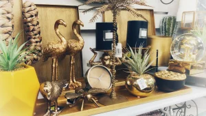 עפרוני – עולם ומלואו לילדים ומבוגרים