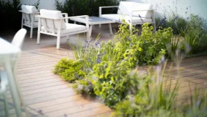 מביאים את הטבע הביתה