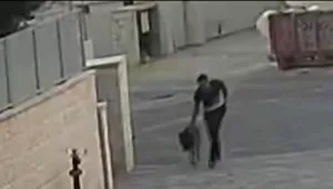 תיעוד: חטף את הכלבה חמש שנים אחרי שמכר אותה