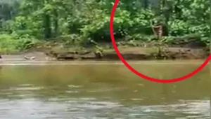 תיירים חיפשו זהב בג'ונגל ונרצחו על ידי בן שבט נוודים עוין