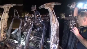 ההתרסקות של טסלה: האם הפרויקט של אילון מאסק בסכנת ביטול?