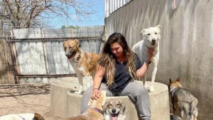 Mor's Dogs: לכלב שלך מגיע את הפנסיון הטוב ביותר