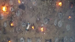 גופות נשרפות, שוק שחור של מכונות הנשמה: הודו קורסת תחת המגפה