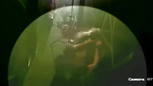 לעיניי המבלים: צעירה חוטפת מכות רצח מבן זוגה במועדון קריוקי