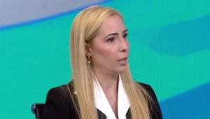 יש דברים נסתרים: המניעים הכלכליים שעומדים מאחורי תביעה למשמורת משותפת