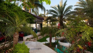 נוסעים דרך כביש 1, אבו גוש? אתם חייבים לעצור לארוחה במסעדת נעורה