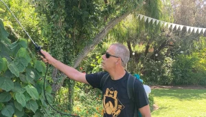 זבנג מדבירים לעניין – לעבור את הקיץ בשלום