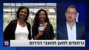 "אין לנו ידיים עובדות כאן": תושבי הדרום על המצב הקשה בחקלאות