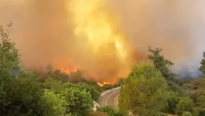 חשד בשירותי הכבאות: הצתה לאומנית גרמה לשריפה בהרי ירושלים