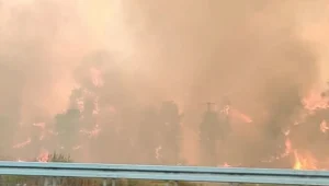 שריפה פרצה סמוך לירושלים - כביש 1 נחסם, תושבים פונו מבתיהם