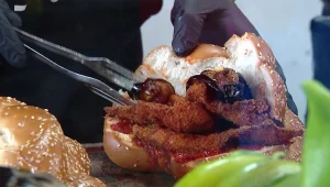 טירוף השניצל בחלה: איפה הכי טעים והמנצח ב"מדד הקריספיות"