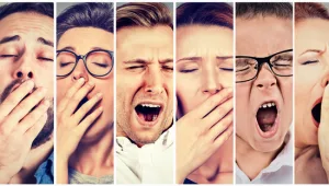 אם גם לכם התמונה עשתה חשק לפהק, יש לזה סיבה