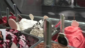 הכירו את טעמי הגלידה המפתיעים והמושחתים ביותר של הקיץ