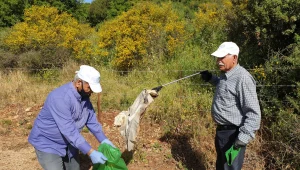 ניקיון המיליון חוצה ישראל: בפריפריה נלחמים בלכלוך ובאשפה