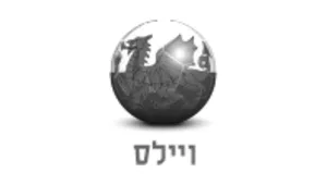 נבחרת ויילס