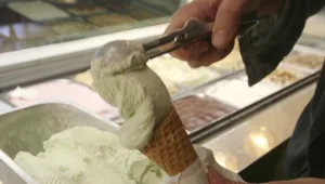 טרנד הגלידה המלוחה: הטעמים החדשים לקיץ החם