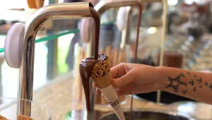 פעם שלישית גלידה ביתית: המדריך המלא להכנת גלידה ביתית מושלמת