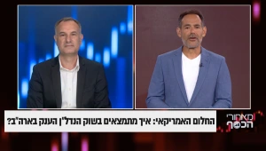 החלום האמריקאי: איך מתמצאים בשוק הנדל"ן הענק בארה"ב?