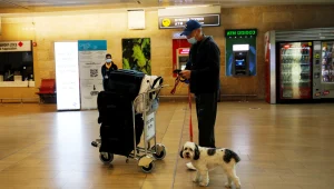 הדיון על נתב"ג: לא יהיה שינוי ברשימת המדינות האדומות