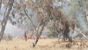 בעקבות הפרחת בלוני התבערה: ישראל צמצמה את מרחב הדיג בעזה