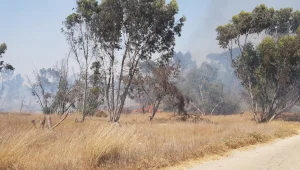 התחממות גם בדרום: 4 שריפות בעוטף עזה פרצו מבלוני תבערה