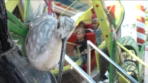 החופש הגדול: הקייטנות נגמרו, וההורים אבודים. מה אפשר לעשות