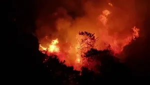 אתרי הנופש בלהבות: שריפות ענק פרצו בערים רבות בטורקיה