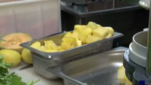 עושים את שוק פתח תקווה: בורקס נשיא המיתולוגי, והסאלוף המושלם